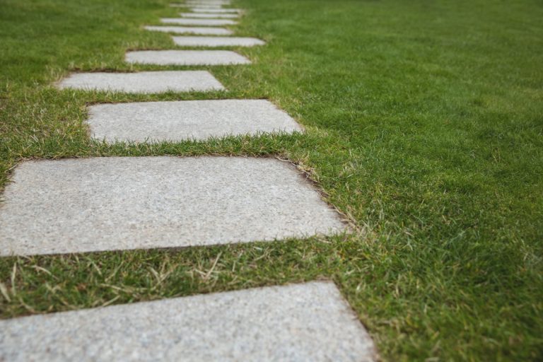 Stepping Stones (3)
